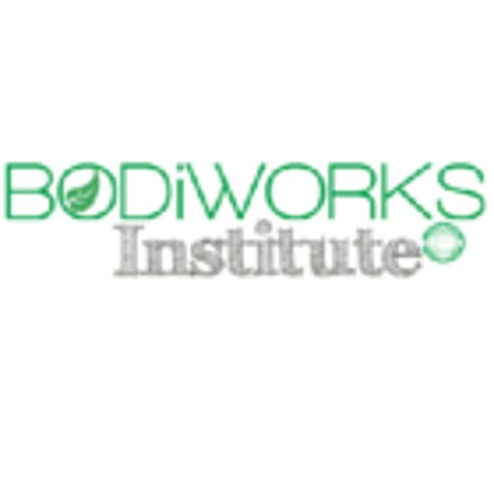 BODiWORKS Institute Logo