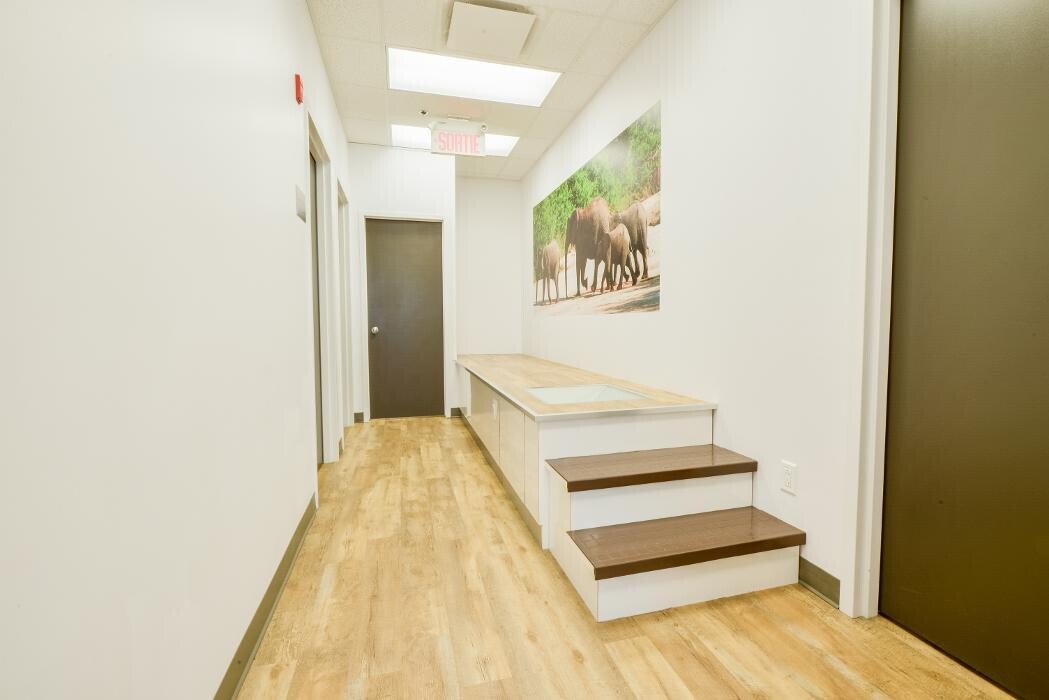 Images PiedRéseau Boisbriand - Podiatres et orthèses