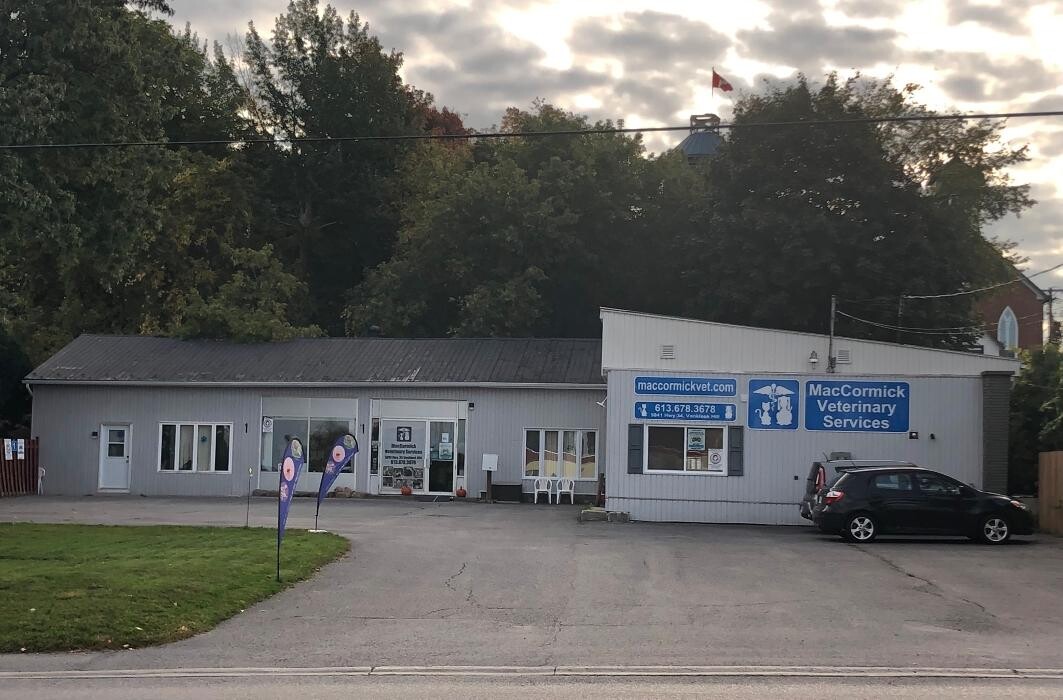 Images Maccormick Veterinary Services