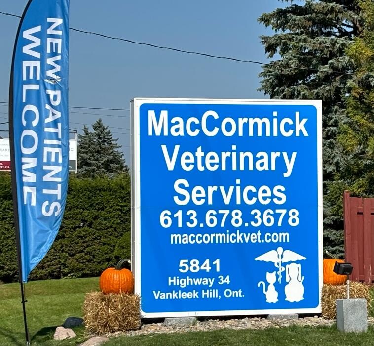 Images Maccormick Veterinary Services