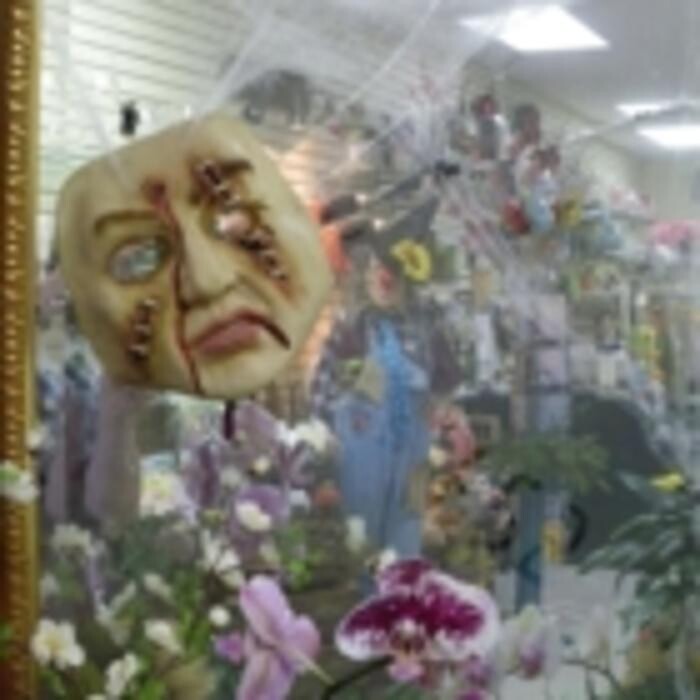 Images Apple Blossom Florist