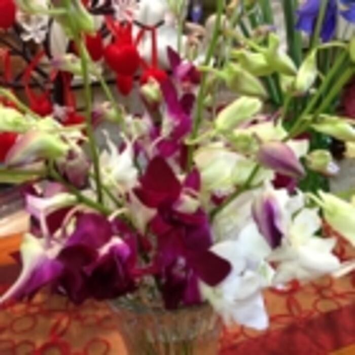Images Apple Blossom Florist