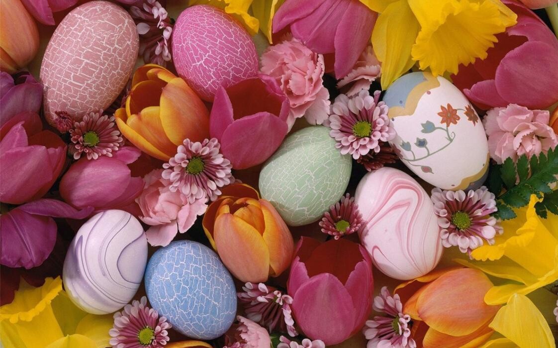 Images Apple Blossom Florist