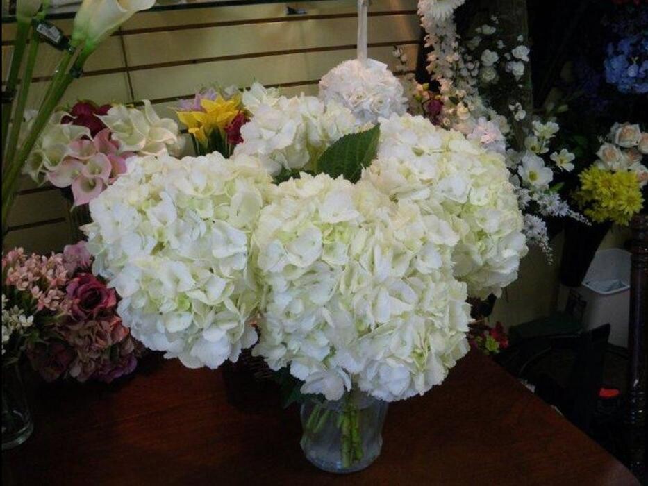 Images Apple Blossom Florist