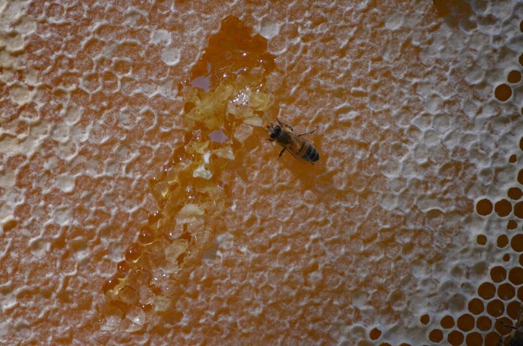 Images Hive 'n Hoe Country Store