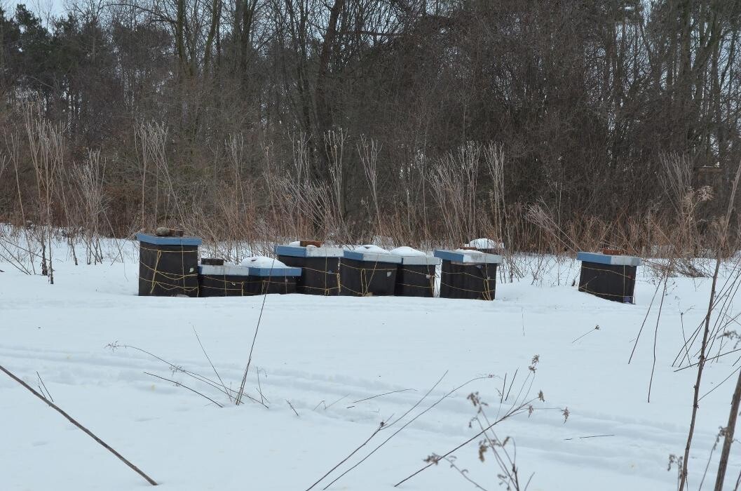 Images Hive 'n Hoe Country Store