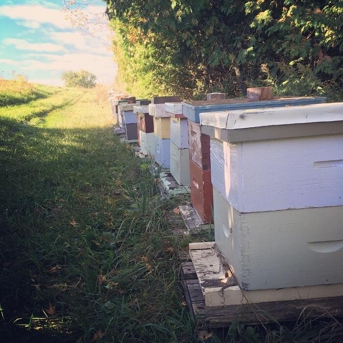 Images Hive 'n Hoe Country Store