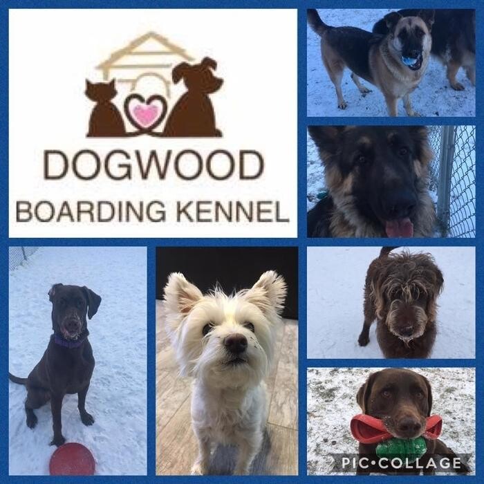 Images Dogwood Boarding Kennel