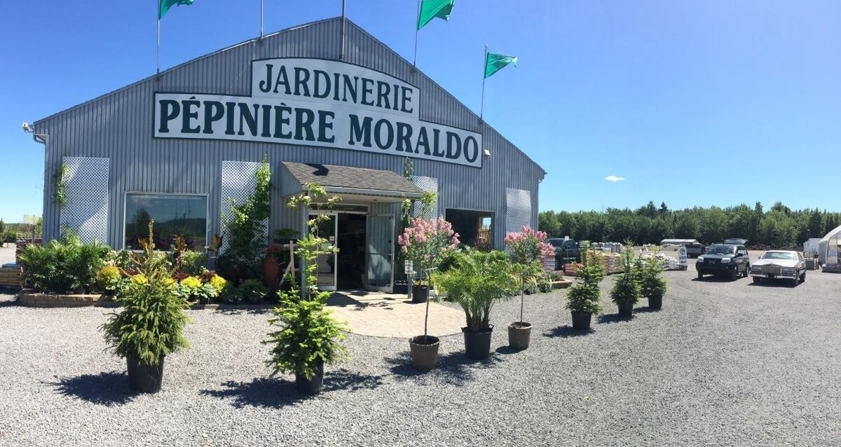 Images Pépinière Moraldo & Fils Inc