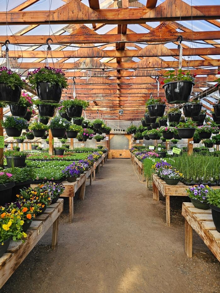 Images Horse Lake Garden Centre