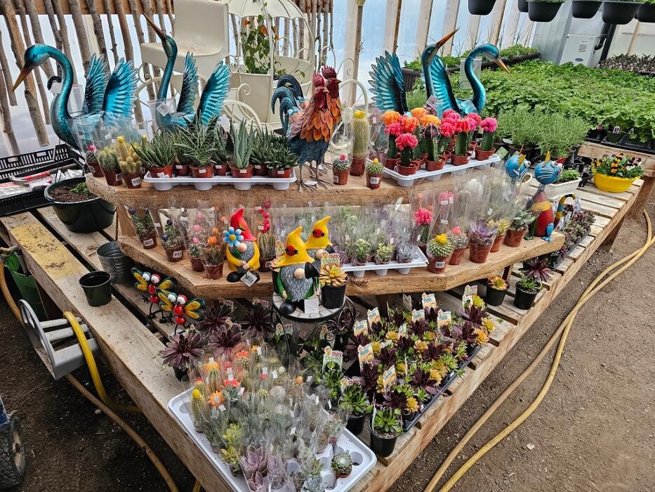 Images Horse Lake Garden Centre