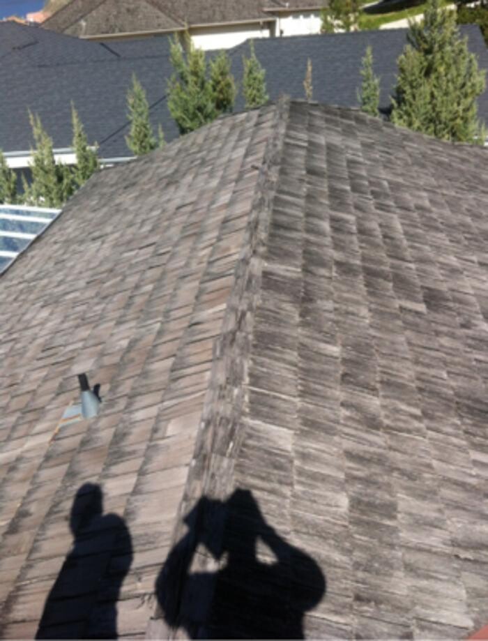 Images AEC Contracting and Renovations