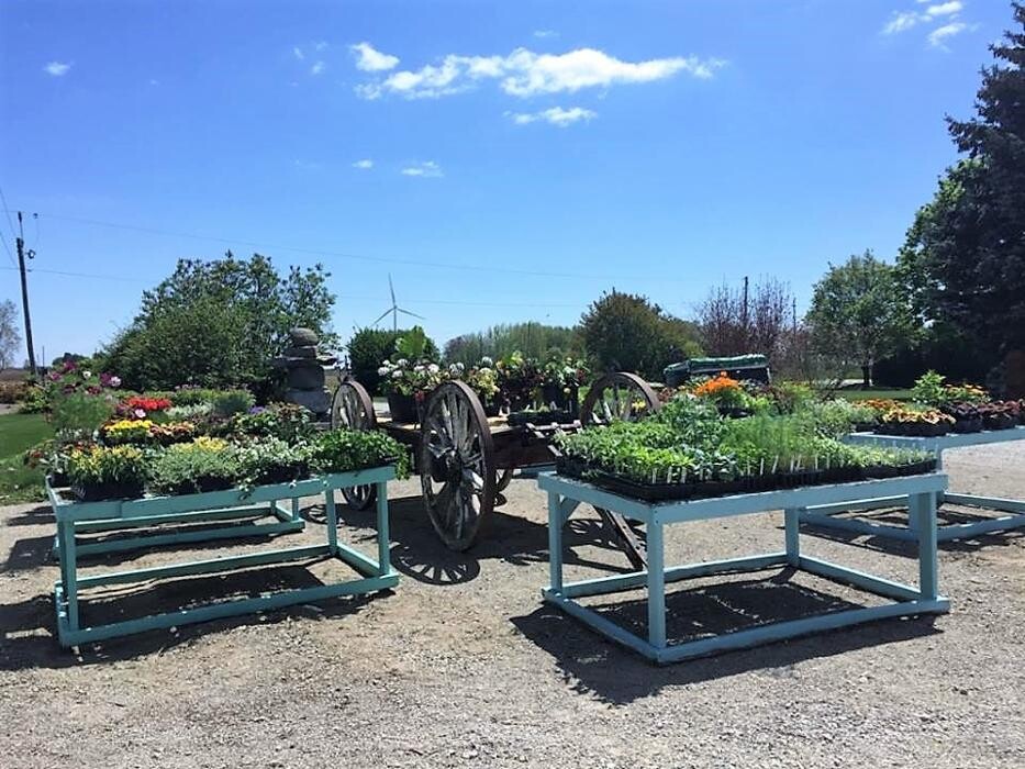 Images Green Street Landscaping