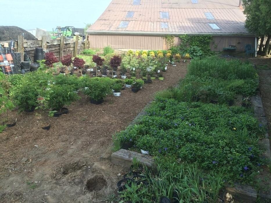 Images Green Street Landscaping