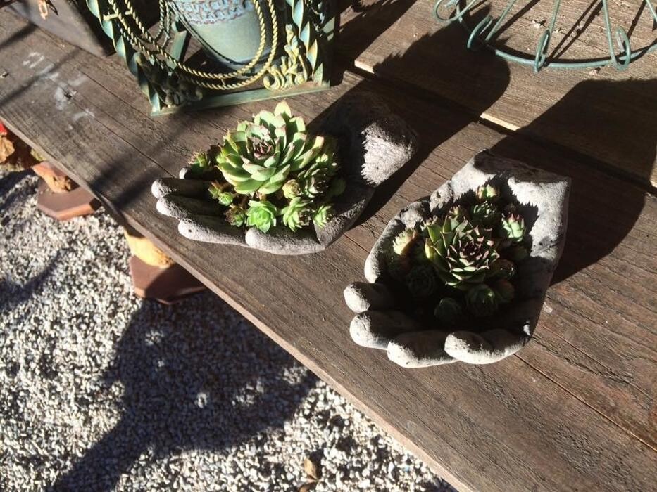 Images Green Street Landscaping