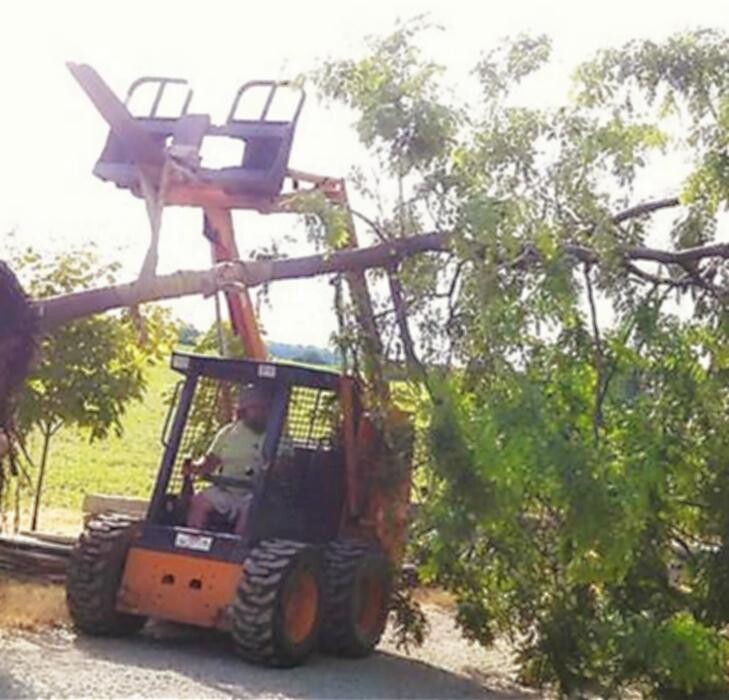 Images Green Street Landscaping