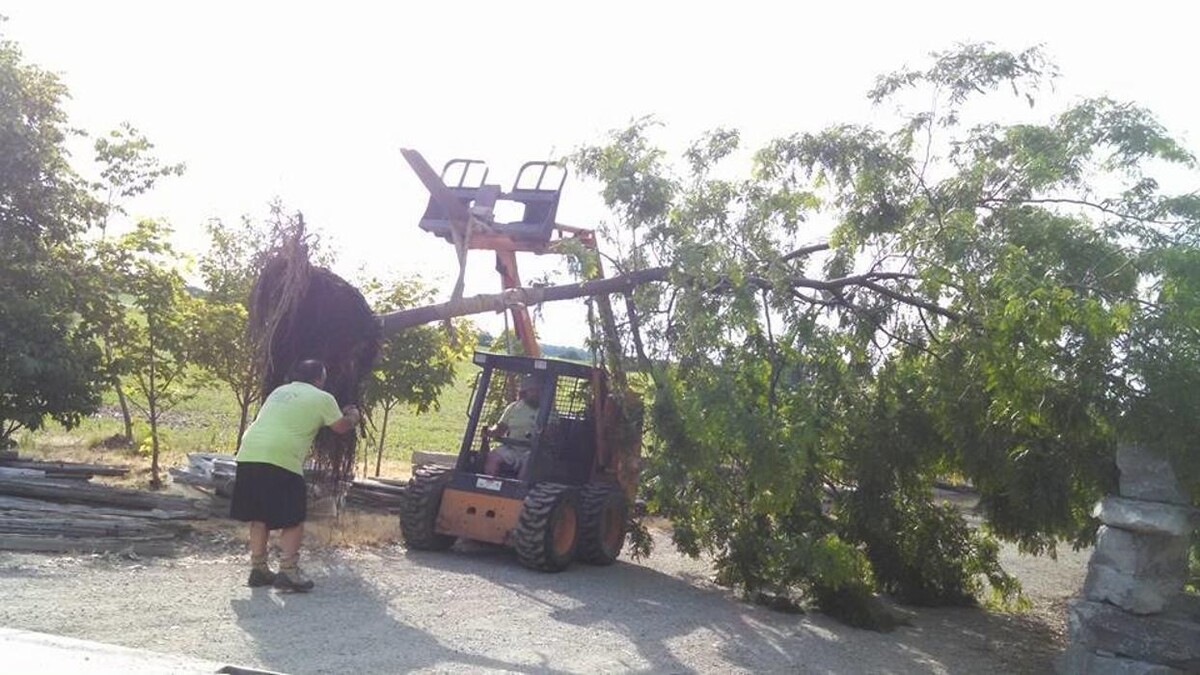 Images Green Street Landscaping