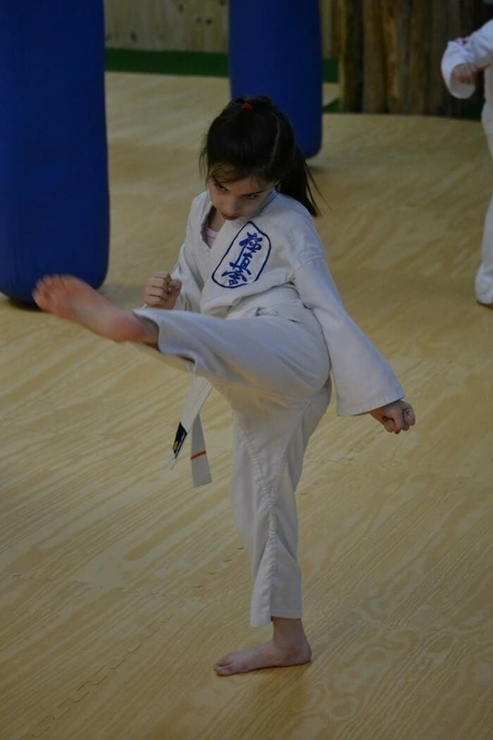 Images Alexandre Haché Kyokushin Karaté Inc.