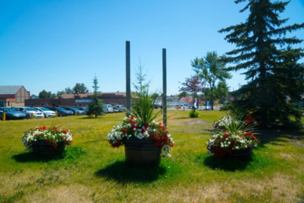 Images Falconridge/Castleridge Community Association