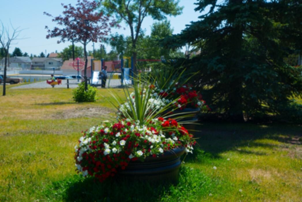 Images Falconridge/Castleridge Community Association