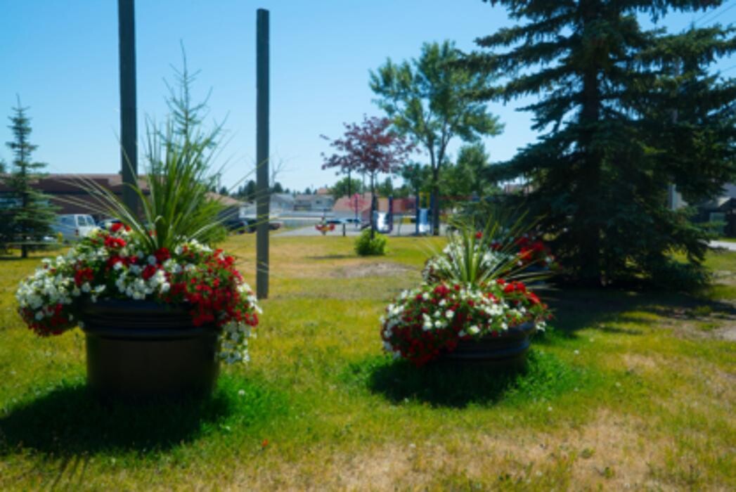 Images Falconridge/Castleridge Community Association