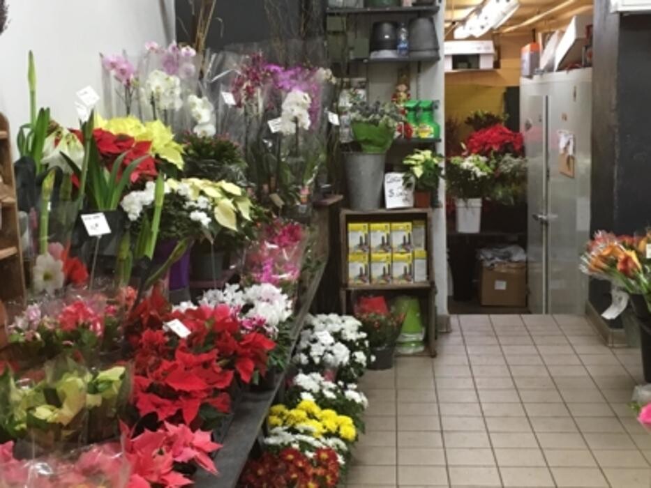 Images Chez Louisette Fleuriste Inc