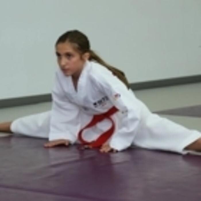 Images Sports Taekwondo Academy (STA)