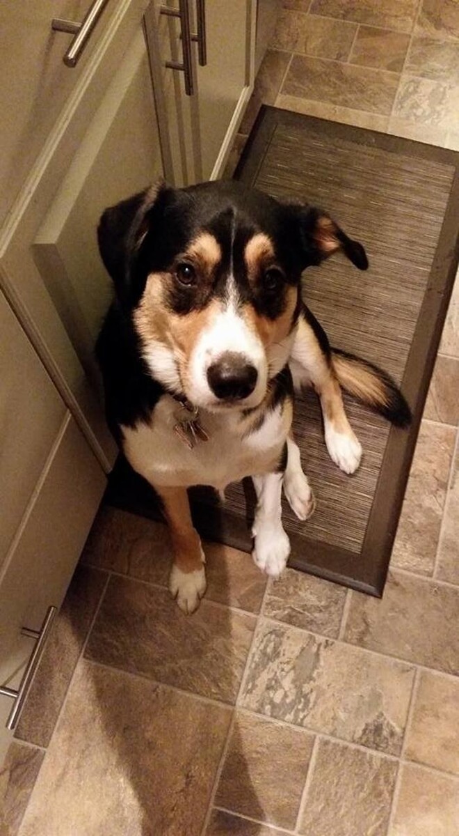 Images DM2 Construction