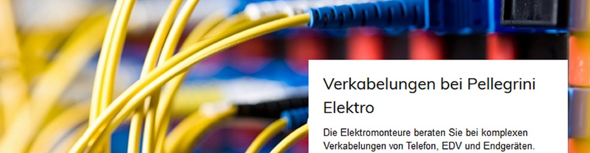 Bilder Pellegrini Elektro GmbH