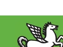 Website Screenshot Pegasus Treuhand Urs Vögele Beratungen GmbH