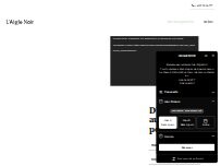 Website Screenshot Aigle-Noir