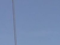 Website Screenshot Brülhart Holzbau AG