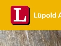 Website Screenshot Lüpold AG Reinigungsdienst