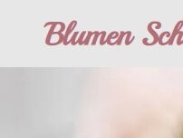Website Screenshot Blumen Schweizer
