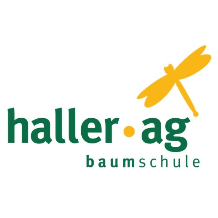 Haller AG Logo