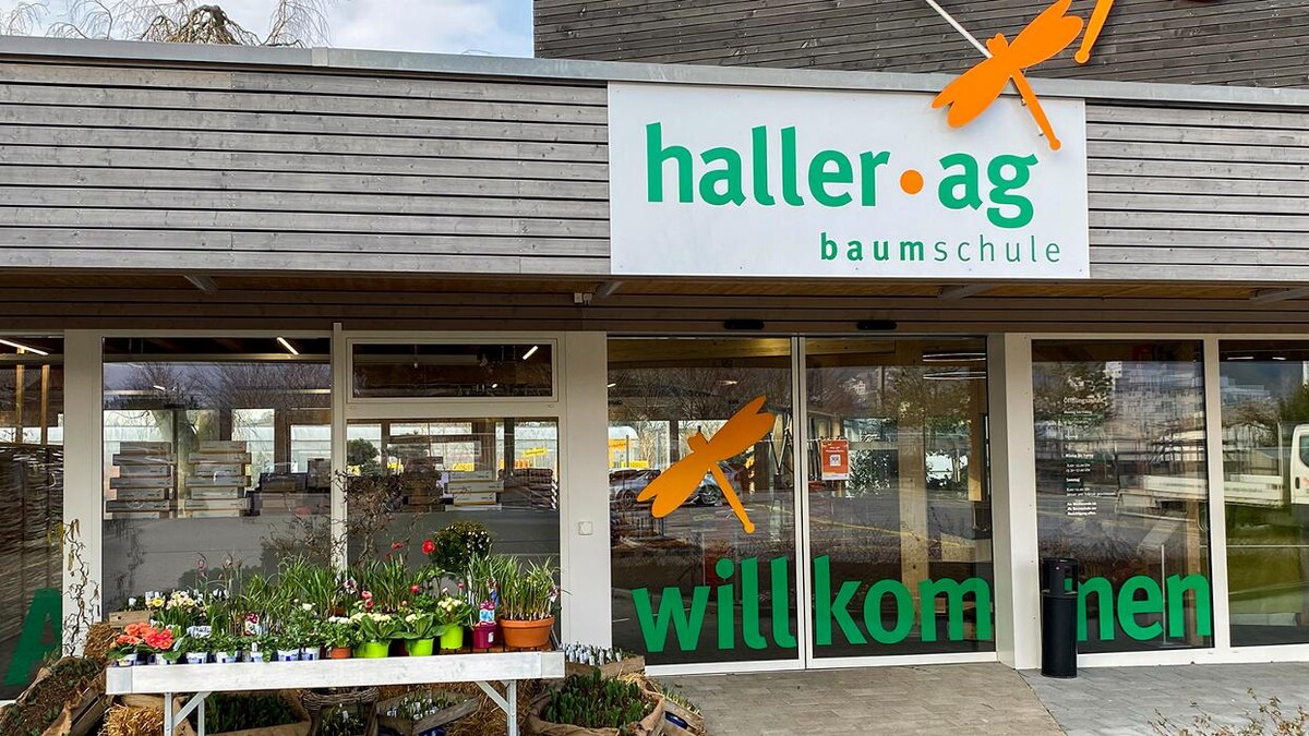Bilder Haller AG