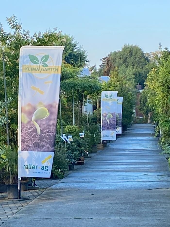 Bilder Haller AG