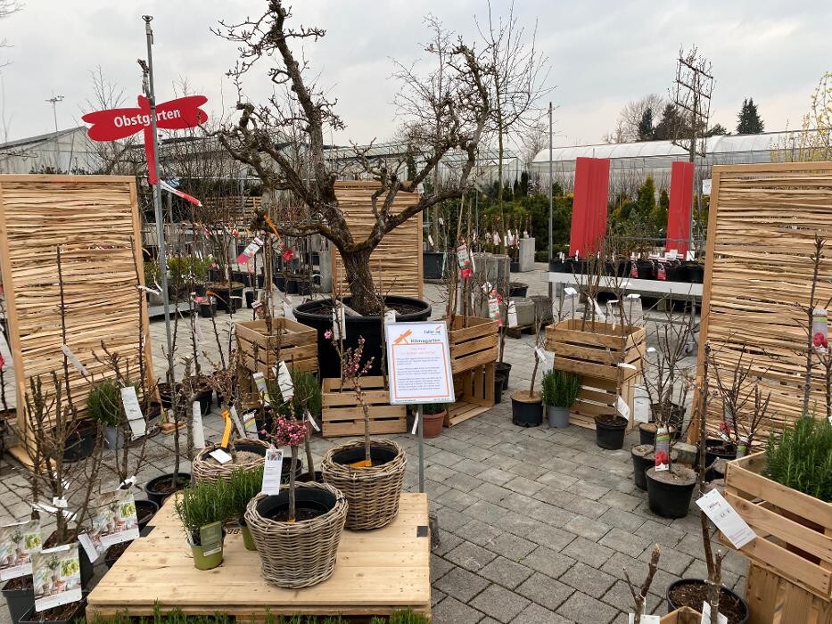 Bilder Haller AG
