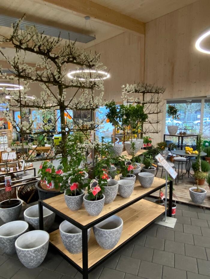 Bilder Haller AG