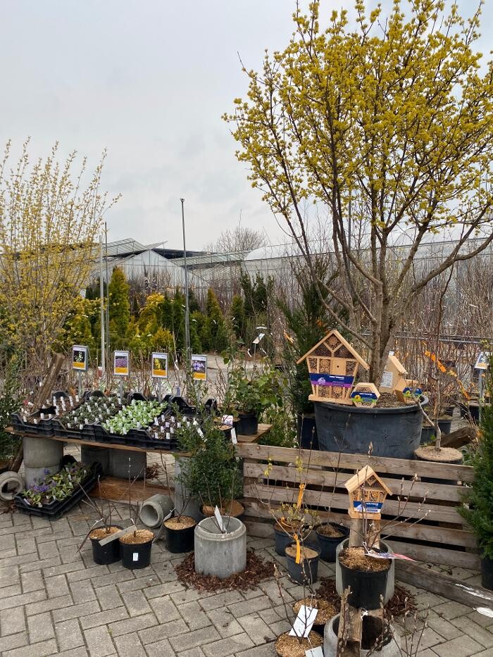 Bilder Haller AG
