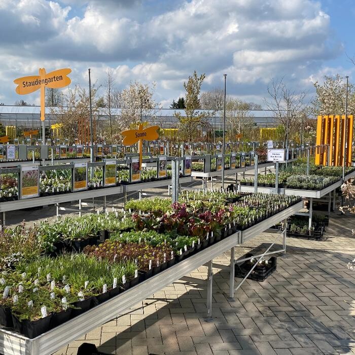 Bilder Haller AG