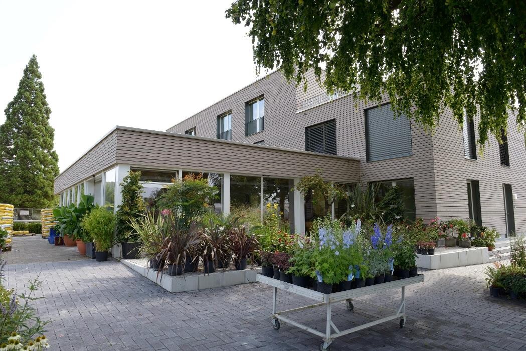 Bilder Haller AG