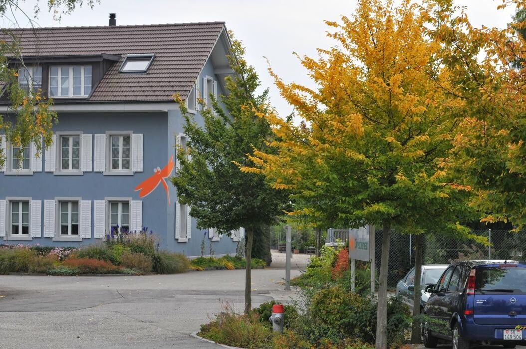 Bilder Haller AG