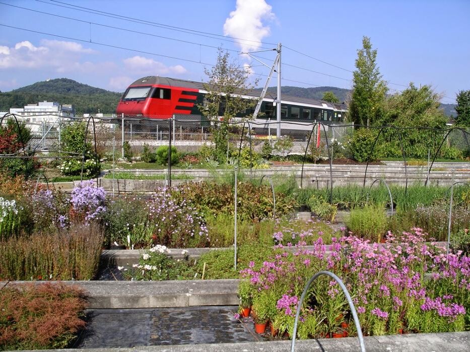 Bilder Haller AG
