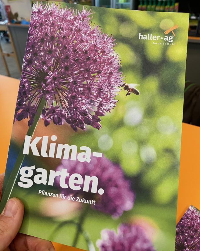 Bilder Haller AG