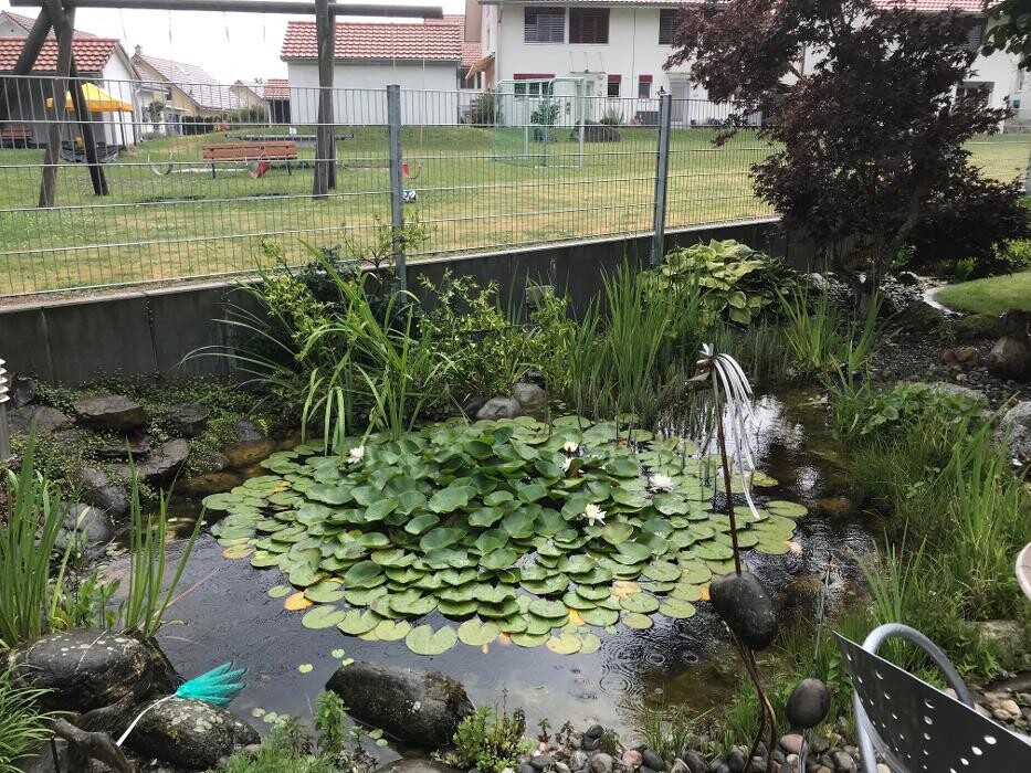 Bilder Wyss Zäune AG