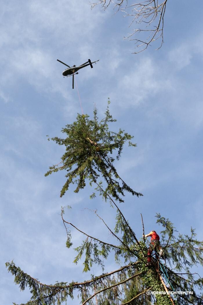 Bilder Fuchs Helikopter AG