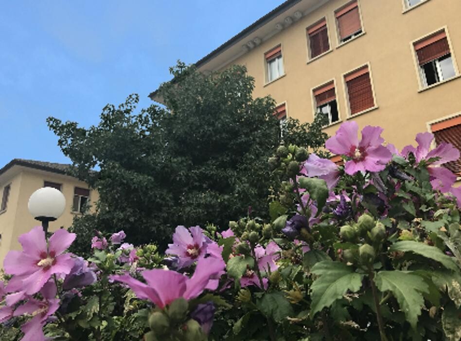 Bilder École le Valentin Lausanne