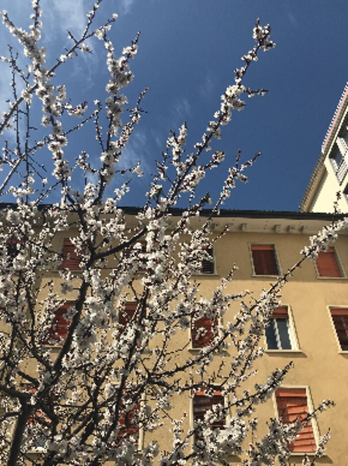 Bilder École le Valentin Lausanne