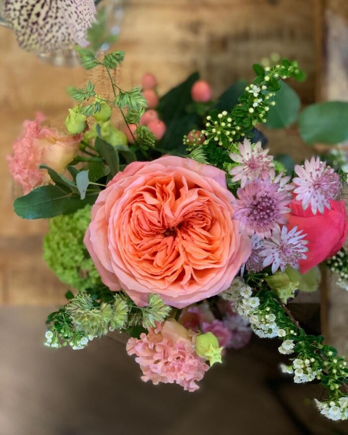 Bilder Les Fleuridées